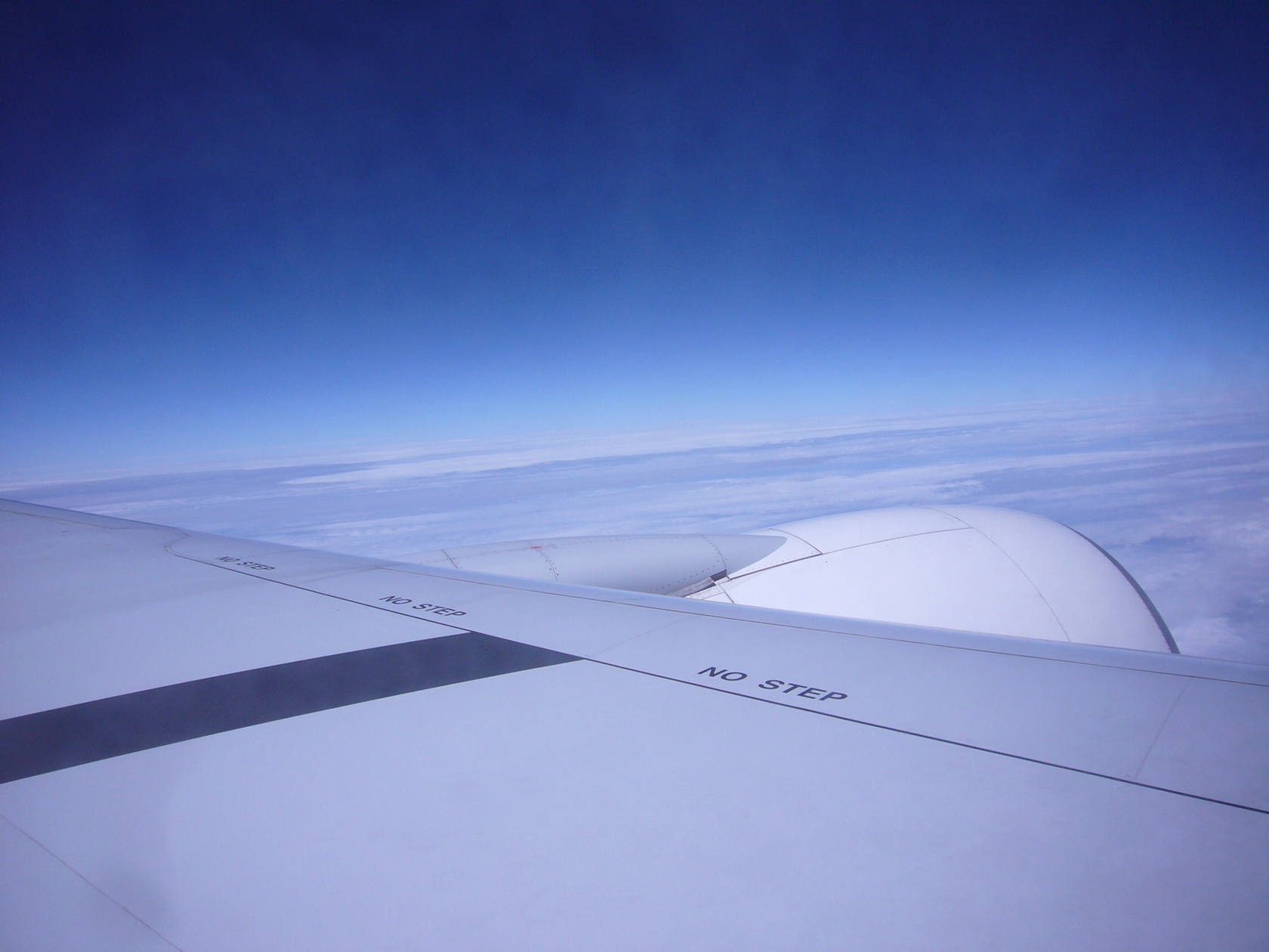 空１Lサイズ