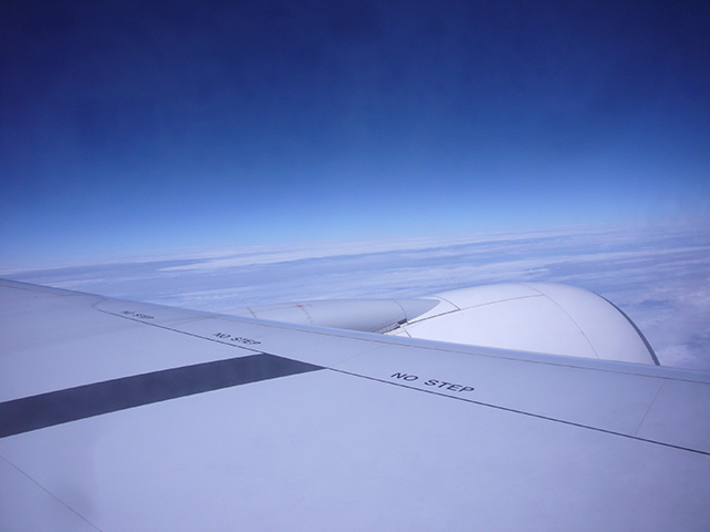空１Mサイズ