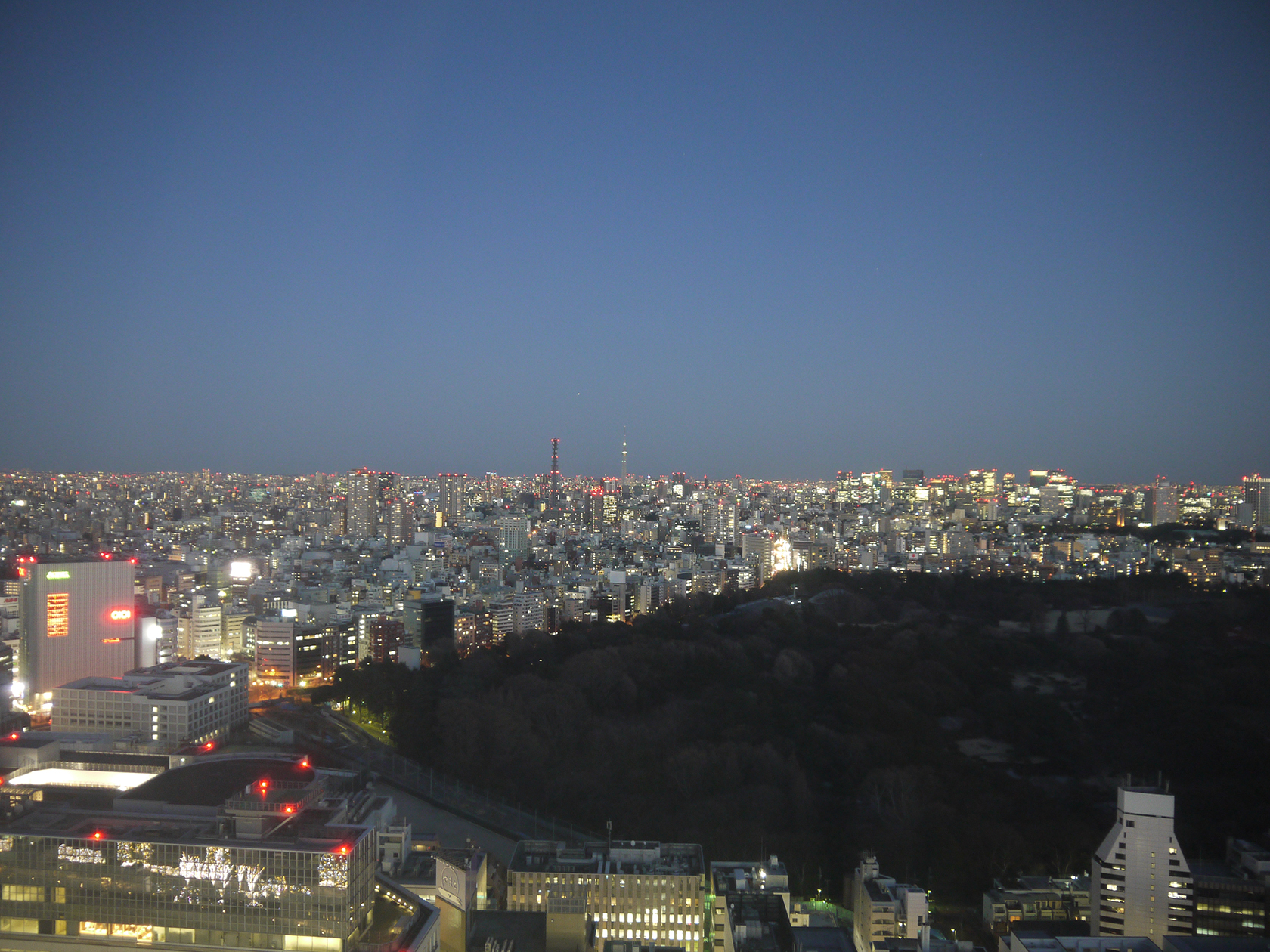 新宿夜景１Lサイズ