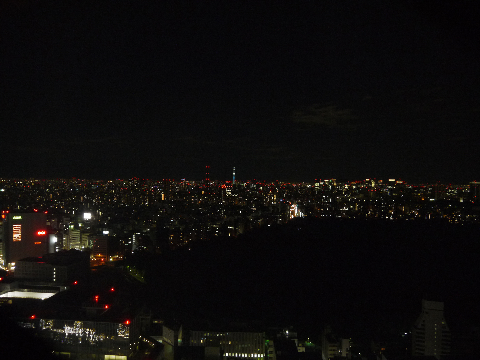 新宿夜景２Lサイズ