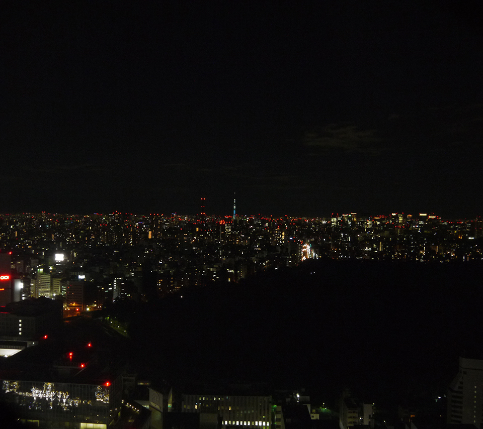 新宿夜景２スマホ用